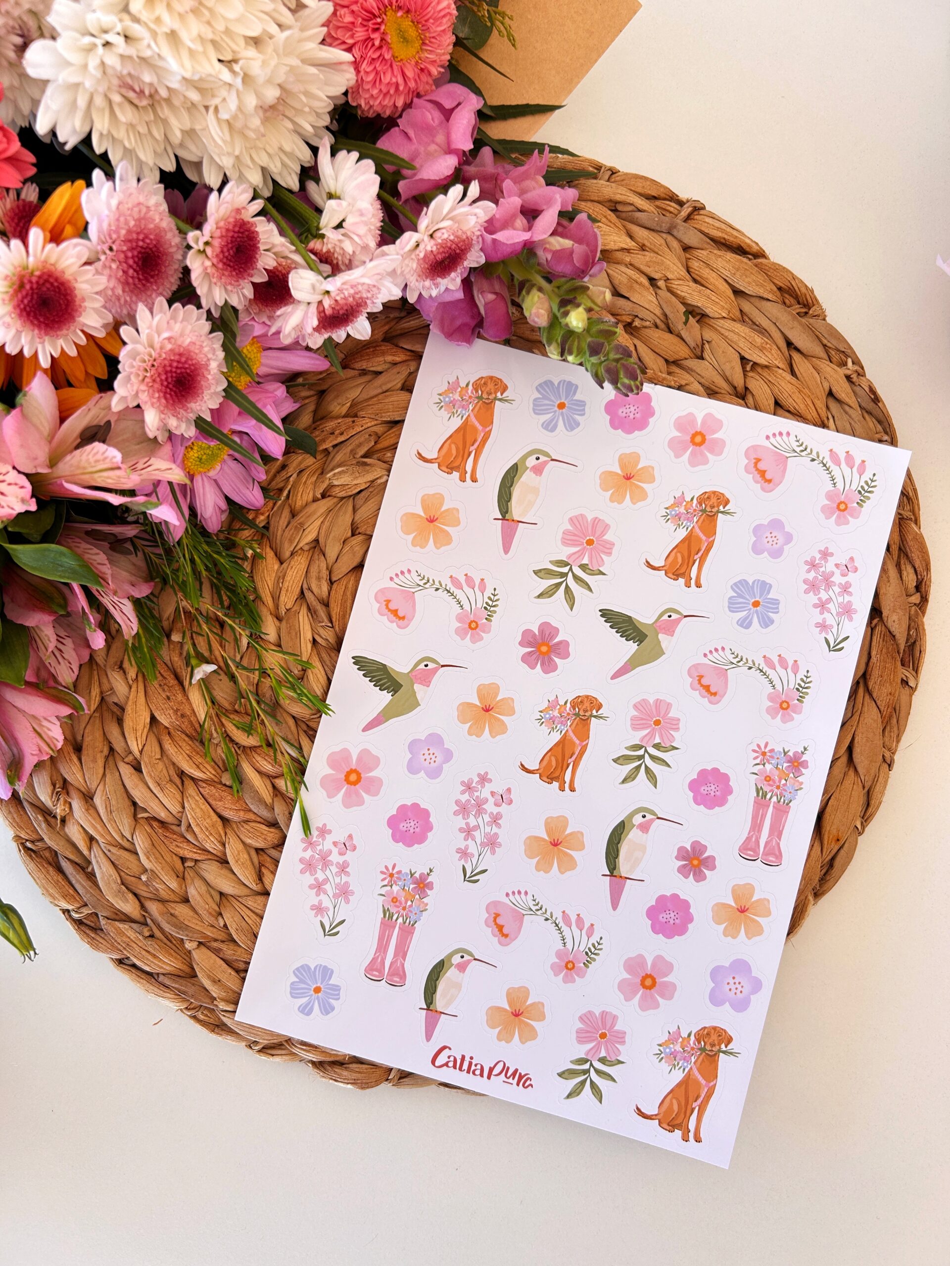 Stickers Clarita (x41u) ✿